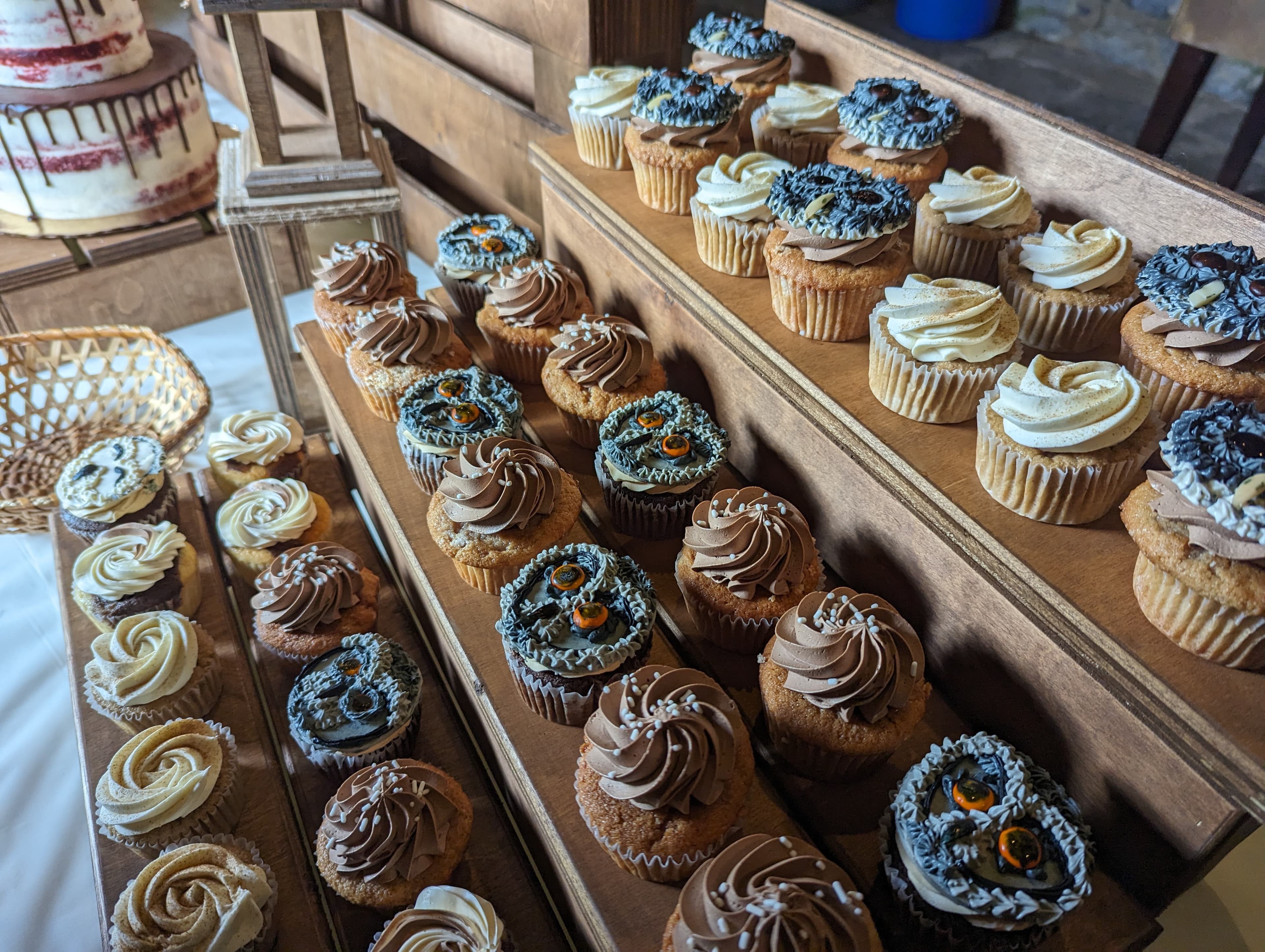 Adorable Owl Cupcakes